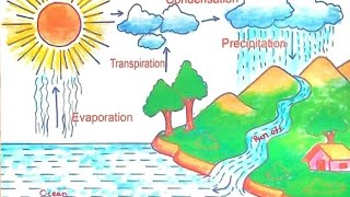 Water Cycle Experiment explaining the process of water cycle [upl. by Stag]