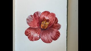 Watercolor：Camellia Japonica [upl. by Boccaj667]