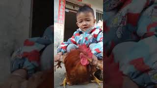 Rural children novice chicken farmers rural freerange chickens freerange chickens 168 [upl. by Bomke]