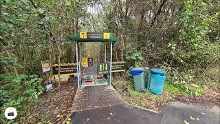 Kauri Glen Treetops Loop Walk [upl. by Adiazteb]