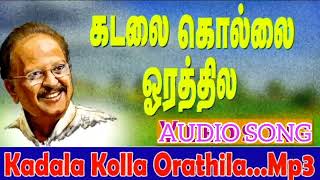 கடலக்கொல்லை ஓரத்திலே Kadala Kolla Orathilea songTamil Kuthu Song [upl. by Jezebel]