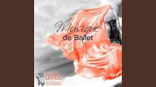 Danse de Salon [upl. by Delores45]