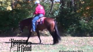 Keeping It Good AQHA Stallions [upl. by Breana]