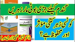 Selection of safe and suitable weedicide for wheat crop  گندم کیلئے جڑی بوٹی مار زہریں [upl. by Ecienaj]