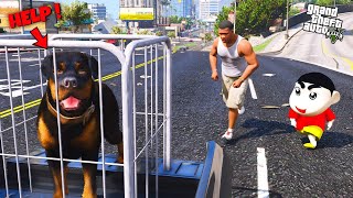 Shinchan amp Franklin Find Missing Chop Dog in Gta 5 [upl. by Itsim]