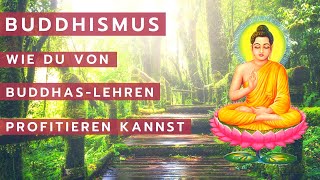 Was ist Buddhismus Einfach erklärt  Die vier edlen Wahrheiten [upl. by Ialokin]