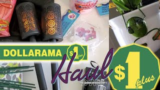 Dollarama Haul  Solar Torches  Garden items  Craft items and more [upl. by Alyahs]