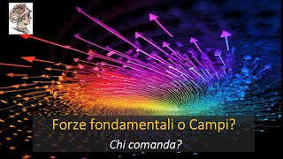 Forze fondamentali o Campi Chi esiste veramente Chi comanda [upl. by Nugesulo]