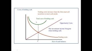 Cash Management Model Baumol Model [upl. by Kcerb]