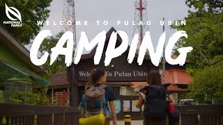 Camping In Pulau Ubin [upl. by Noicpecnoc]