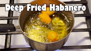 Deep Frying a Habanero Pepper for an Hour NSE [upl. by Yoho231]