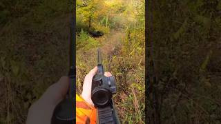 🎯 hunting chasse wildboar охота caccia hog [upl. by Seem53]