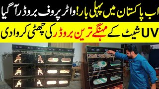 Cheapest chicks brooder in Pakistan  Mughal incubators chicks brooders [upl. by Ynnod831]