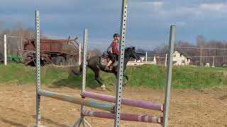 Ogonek 🥹 trening skokowy ☀️🐴 [upl. by Ahlgren]