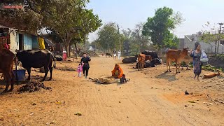 Some Undiscovered Villages Of India  Very Poor Village In Uttar Pradesh  Real Life India Daily [upl. by Oalsinatse]