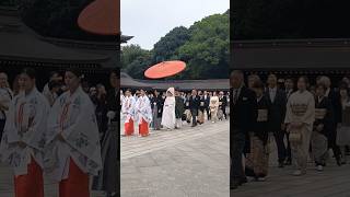 Spotted japanese wedding 💍 at Meji jingu travel japanculture vlog saksh insidejapan [upl. by Finegan101]