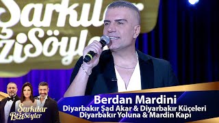 Berdan Mardini  Diyarbakır Şad Akar amp Diyarbakır Küçeleri amp Diyarbakır Yoluna amp Mardin Kapı [upl. by Camala]