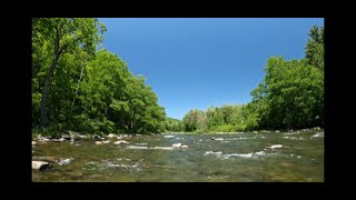 FLY FISHING THE CATSKILLS [upl. by Magna]