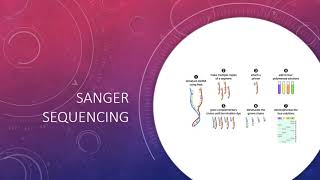 Sanger Sequencing and Pyrosequencing Video [upl. by Ferde]