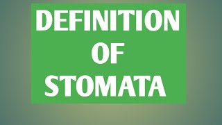 DEFINITION OF STOMATA ll WHAT IS STOMATA [upl. by Hubing852]