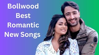 Bollywood best Romantic New song bollywood best song  Arijit Singh New songHindi new song 2024 [upl. by Asilej]