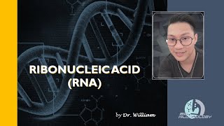 Ribonucleic Acid RNA by Dr William [upl. by Fitzger]