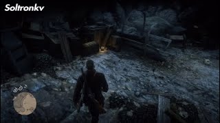 Red Dead Redemption 2  Beaver Hollow Loot and Chest Location [upl. by Albert]