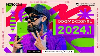 RAÍ SAIA RODADA 2024  CD PROMOCIONAL DE VERÃO 13 MÚSICAS NOVAS  CD NOVO [upl. by Hamilah234]