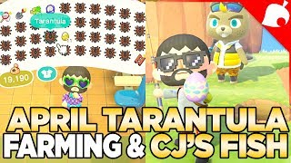 Aprils Tarantula Farming CJs Fish amp Expanded Zen Garden Animal Crossing New Horizons [upl. by Aneekas70]