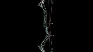 2015 Darton Archery 3900 compound bow review [upl. by Shakti]