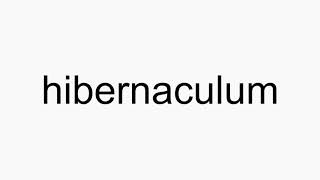 How to pronounce hibernaculum [upl. by Sandry]