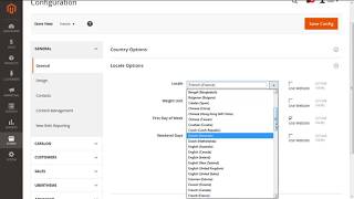 Magento 2  How to set up Multilingual Store [upl. by Yeloc]