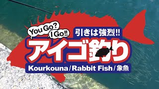 【English】Rabbit Fish Fishing [upl. by Remled56]