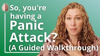 Having a Panic Attack The AntiStruggle Technique A Guided Walkthrough to Stop a Panic Attack [upl. by Annoynek]