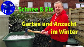 Schnee und Eis  Garten und Anzucht im Februar [upl. by Prendergast853]