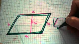 Flächeninhalt eines Parallelogramms berechnen  Mathe verstehen [upl. by Goodden]