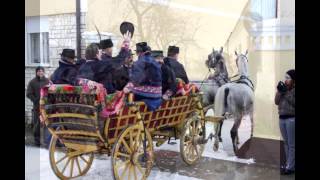 TS Šokci  JURE VRANCI  9 Glazbeni festival quotŠokačke pismequot Županja 2014 [upl. by Aleil375]