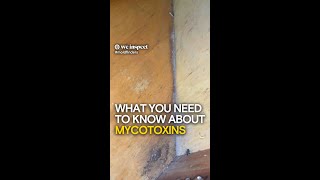 What You Need to Know About Mycotoxins [upl. by Belen]