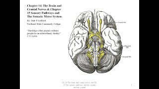 BIOL 2010 Chapter 14 and 15 Part 2 of 2 [upl. by Viccora]