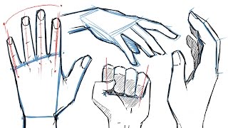 How to Draw HANDS and HAND POSES [upl. by Higinbotham]