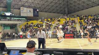 Long Beach vs LIU Mens Volleyball 2024 [upl. by Rekrap101]