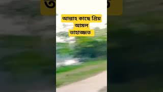 আল্লাহ কাছে প্রিয় আমল islamicstatus mizanurrahmanazhari shortvideo unfrezzmyaccount alamgir [upl. by Parris]