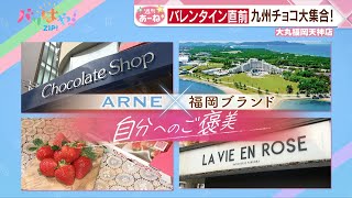 【週刊あーね】バレンタイン直前！ARNEが福岡ブランドとコラボした絶品ご褒美チョコ特集（2024131） [upl. by Einotna288]