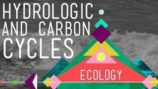 The Hydrologic and Carbon Cycles Always Recycle  Crash Course Ecology 8 [upl. by Ozner177]