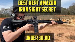 Best Kept Amazon Iron Sights Secret [upl. by Ynhoj]