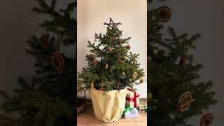 🎄Rent a Living Christmas Tree with ATP [upl. by Lorens]