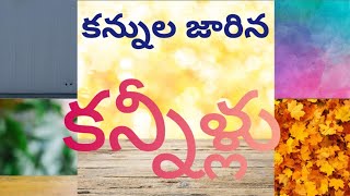 Kannula Jarina Kanneellu song by Shalem Raju garu [upl. by Rosio]