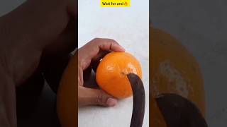 How to grow orange tree seed to homeeasy way to grow orange tree short shorts viralshorts [upl. by Illib]