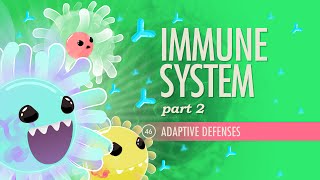 Immune System Part 2 Crash Course Anatomy amp Physiology 46 [upl. by Airak821]