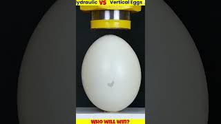 amazingfacts uniqueexperiement experiment factsinhindi science egg [upl. by Anatlus]